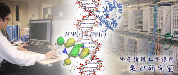 量子生物学講座 栗田研究室